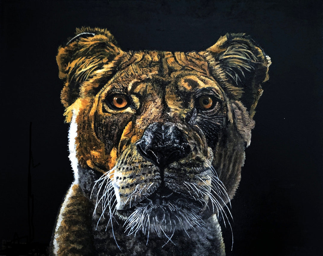 Close-up of a lioness's face against a black background.