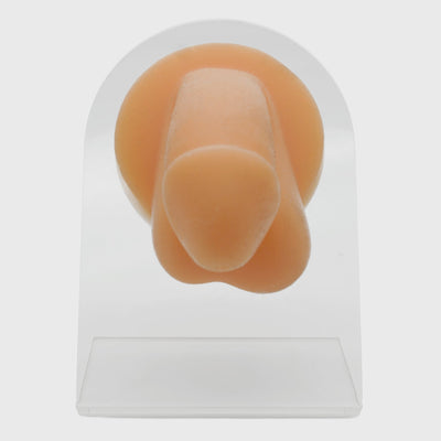 Silicone Body Parts